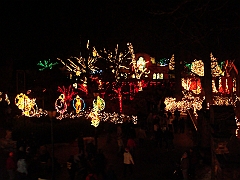 025 Toledo Zoo Light Show [2008 Dec 27]